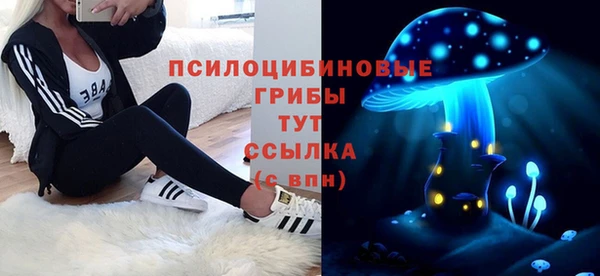 прущая мука Надым