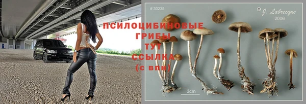 мдпв Навашино