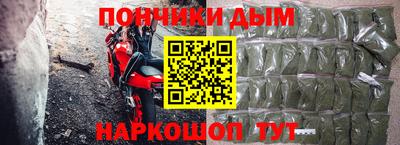 прущие грибы Гусиноозёрск