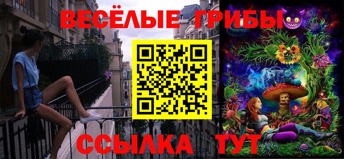 Нарткала  Псилоцибиновые грибы Cubensis  Псилоцибиновые грибы прущие грибы  Вход с VPN 