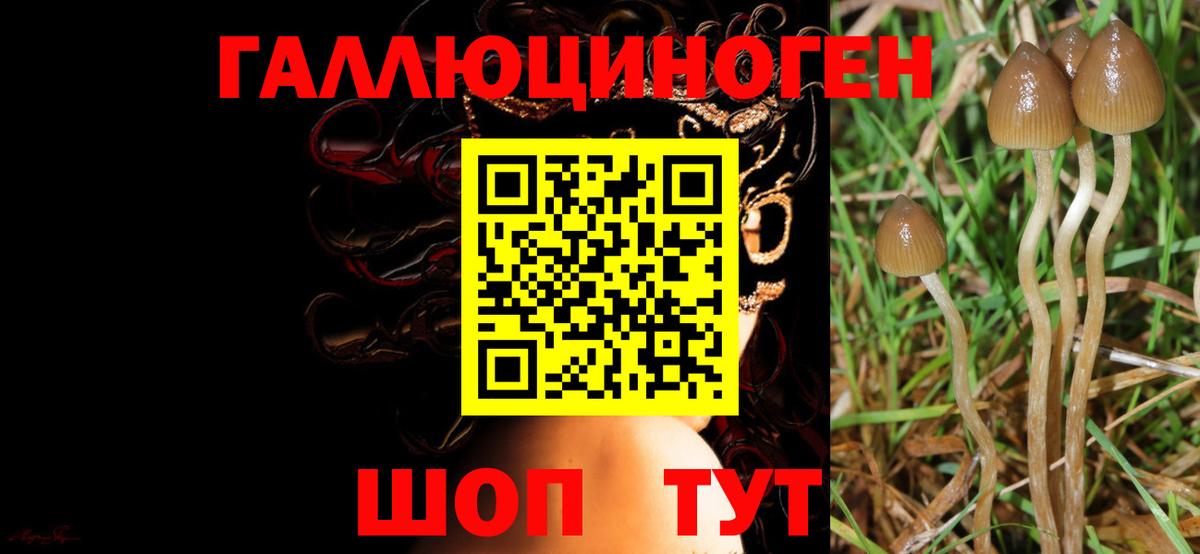Гашиш  Нарткала  Конопля  COCAIN  Codein  МЕФ   Вход с VPN 